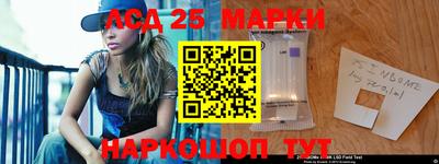 2c-b Кингисепп