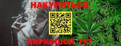 2c-b Кингисепп