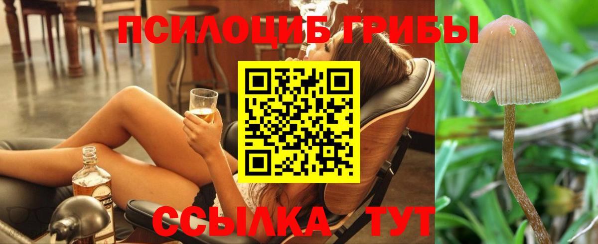 Глазов  Галлюциногенные грибы Magic Shrooms  где найти   Галлюциногенные грибы MAGIC MUSHROOMS  Вход с VPN 